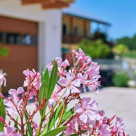 Ferienwohnung Tittmoning Zwischen Salzburg Und Burghausen ภายนอก รูปภาพ