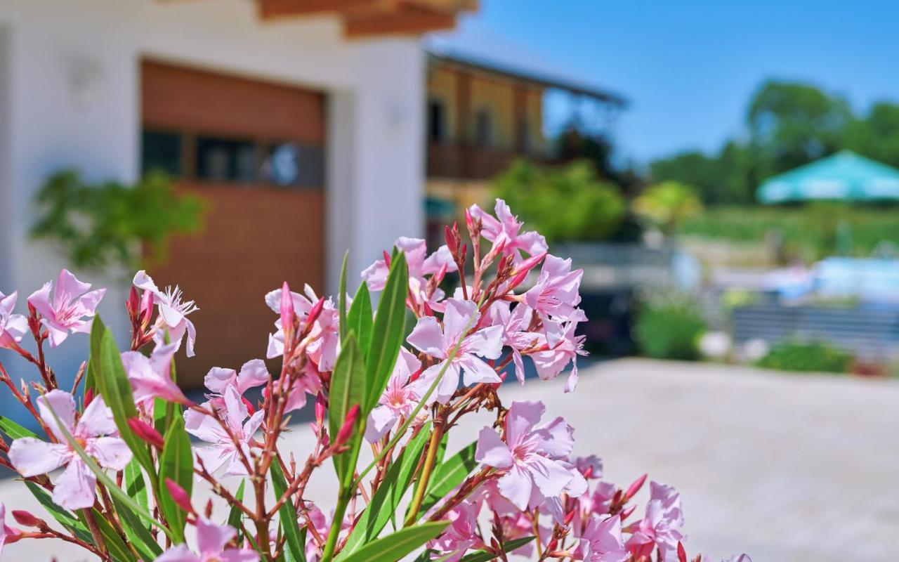 Ferienwohnung Tittmoning Zwischen Salzburg Und Burghausen ภายนอก รูปภาพ
